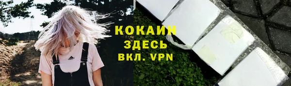 прущие грибы Горнозаводск