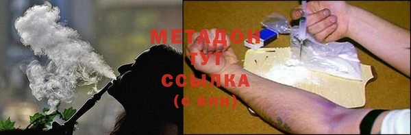 прущие грибы Горнозаводск