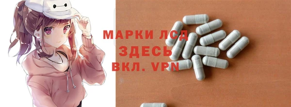 прущие грибы Горнозаводск