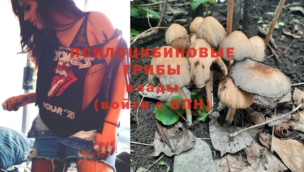 дмт Михайлов