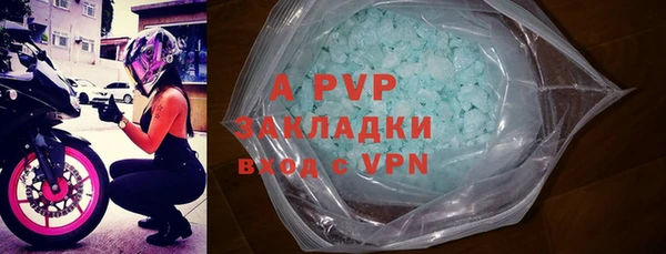 прущие грибы Горнозаводск