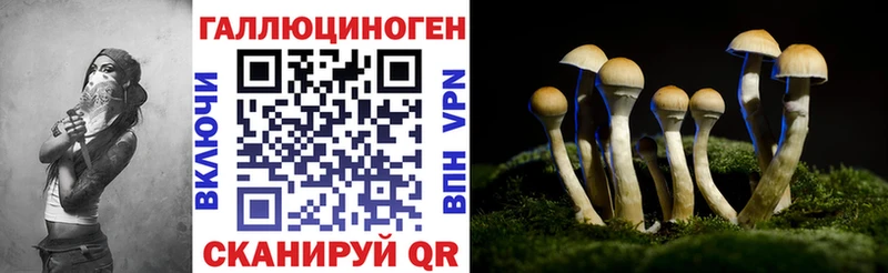 закладки Озёры Галлюциногенные грибы прущие грибы