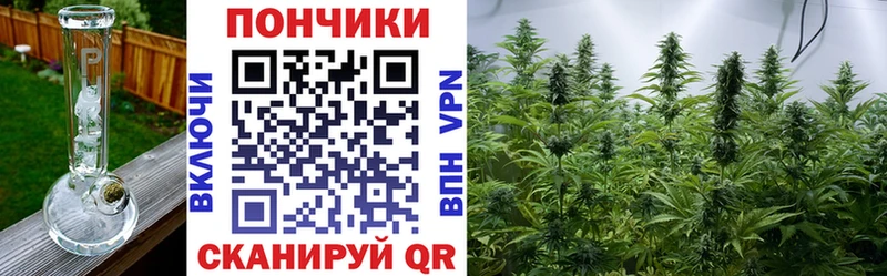 Каннабис планчик  Озёры 